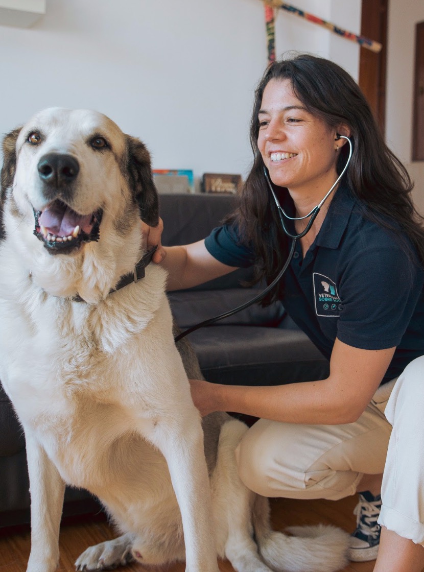 Veterinária Dra. Maria Horta e Costa